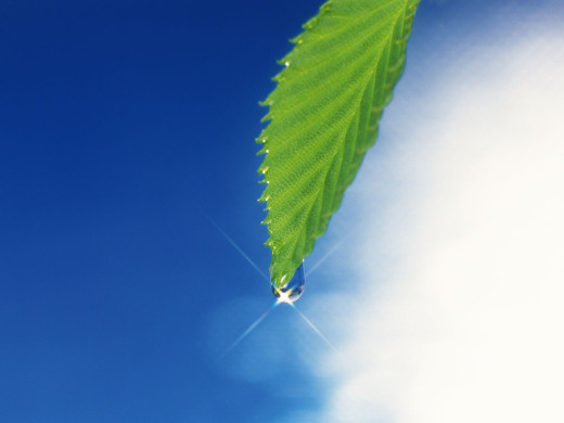 31223 (a): :1600x1200